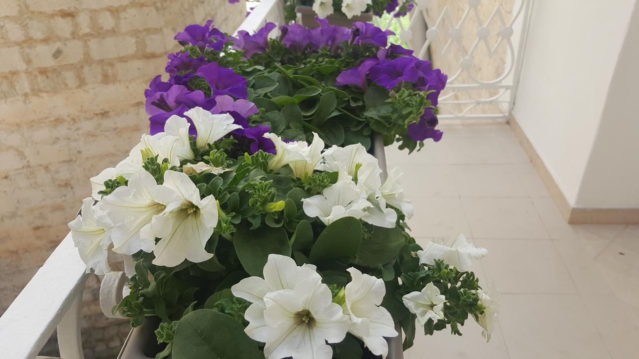 Matera Guest House Exterior foto